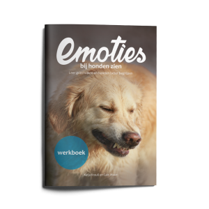 Werkboek Emoties bij honden zien