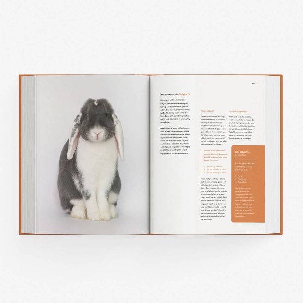 a-tot-z_spread-bodyparts-aanleren A tot Z KONIJNEN