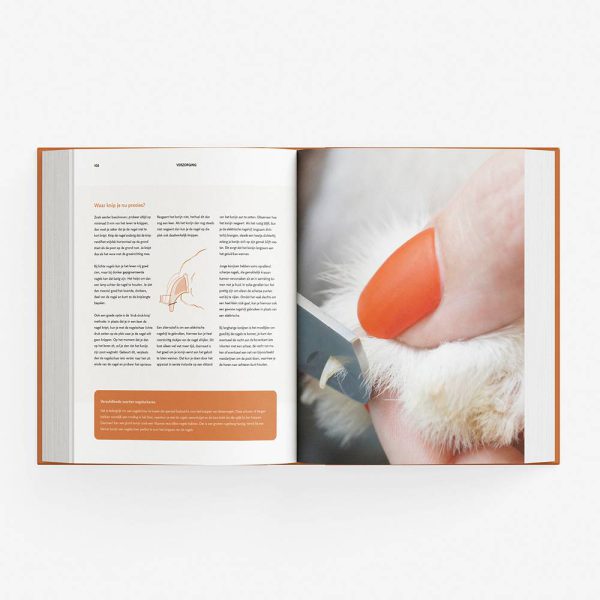 a-tot-z_spread-nagels-knippen A tot Z KONIJNEN