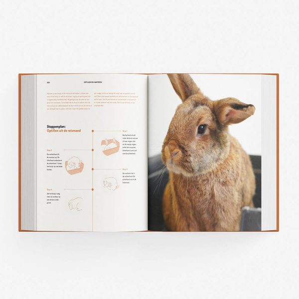 a-tot-z_spread-optillen A tot Z KONIJNEN